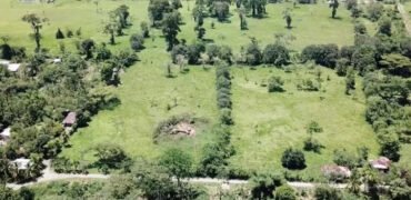 Finca Río Banano – Lotes